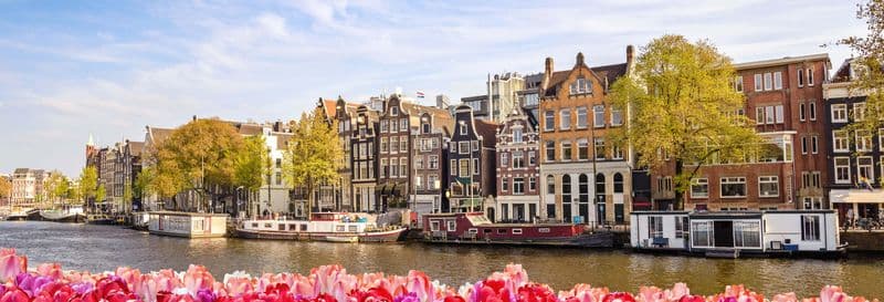 Billet En escale à Amsterdam ? Visite privée au départ de l'aéroport