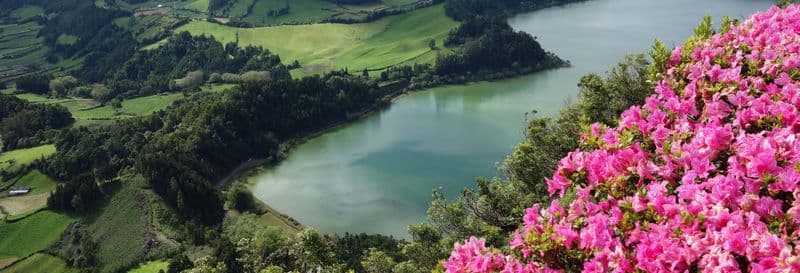 Billet Excursion à Furnas + Plantation de Thé Gorreana