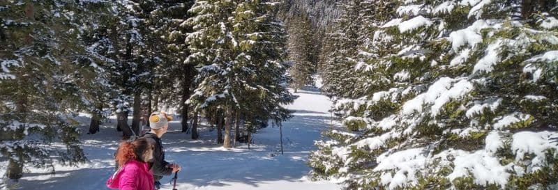 Billet Randonnée au parc national Piatra Craiului