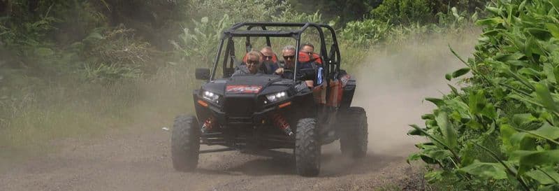 Billet Balade en buggy dans São Miguel