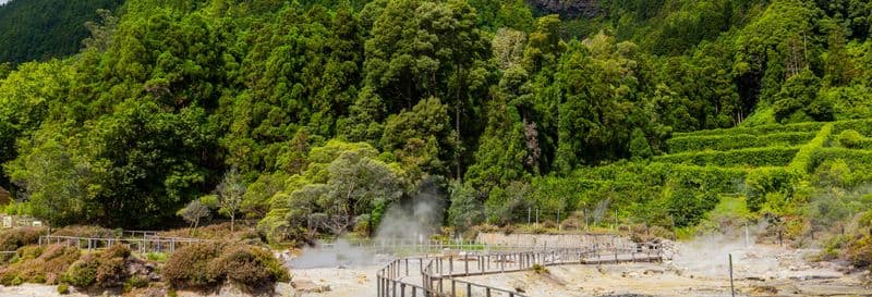 Billet Visite dans Furnas + Plantations de thé de Gorreana