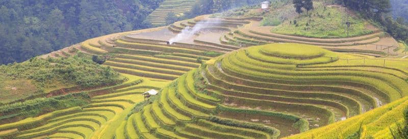 Billet Balade à vélo électrique dans les rizières