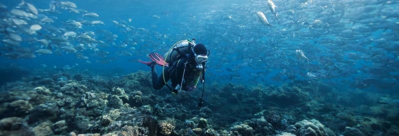 Billet Baptême de plongée sur l'île de Faial