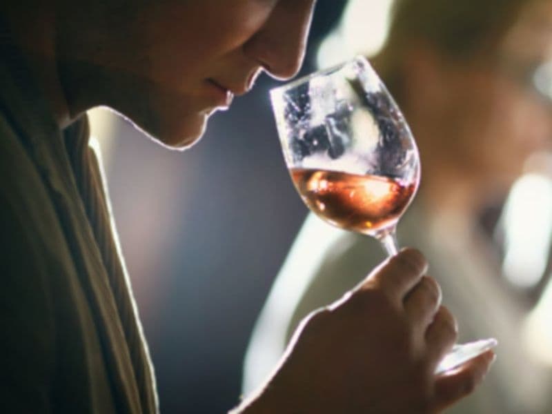 Billet Cours d'œnologie "Les arômes du vin" à Montpellier (34)