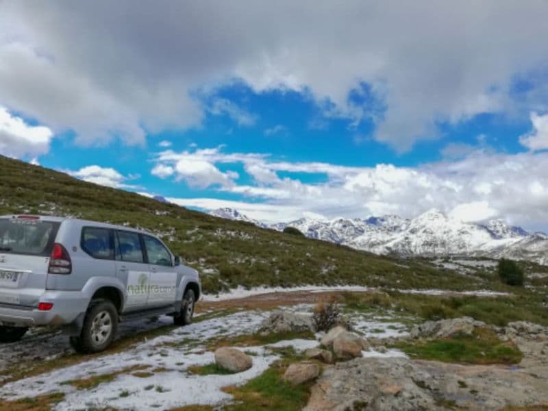 Billet Excursion en 4x4 "Vallée de l'Asco" au départ de Balagne