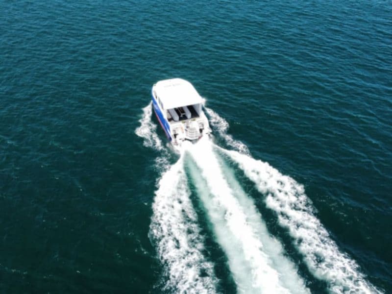 Billet Promenade en mer découverte de la baie de Saint Malo (35)