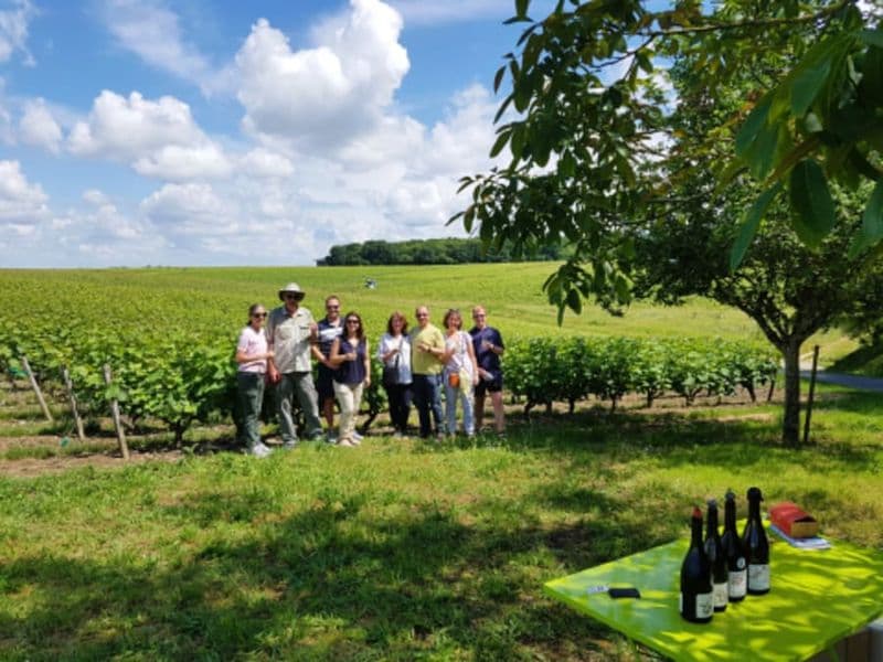 Billet Visite guidée découverte des vins de Loire à Vouvray (37)