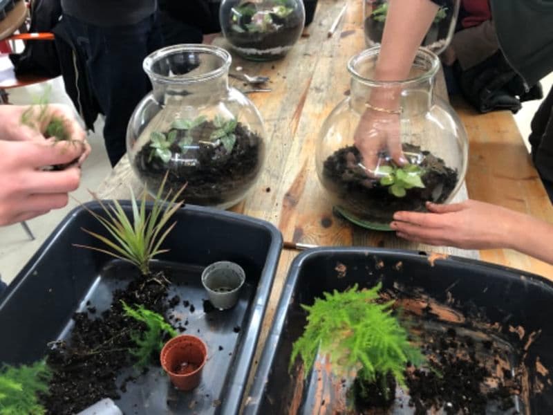 Billet Atelier "Je crée mon terrarium" à Villejuif