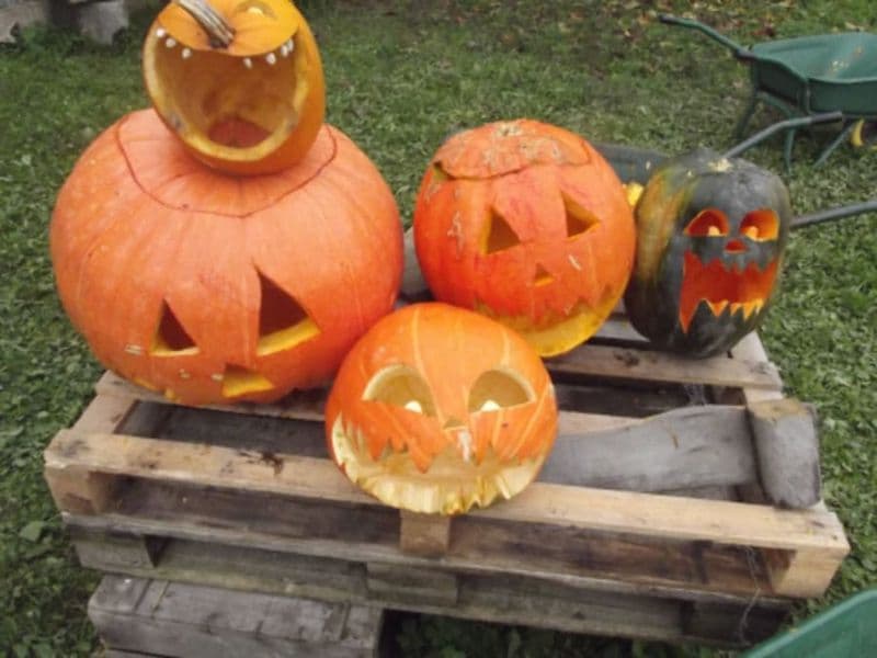 Billet Sculpture de citrouille à la Cueillette de l'Aragnon (64)