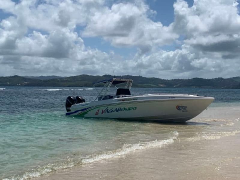 Billet Croisière journée tout compris au départ du Robert (97)