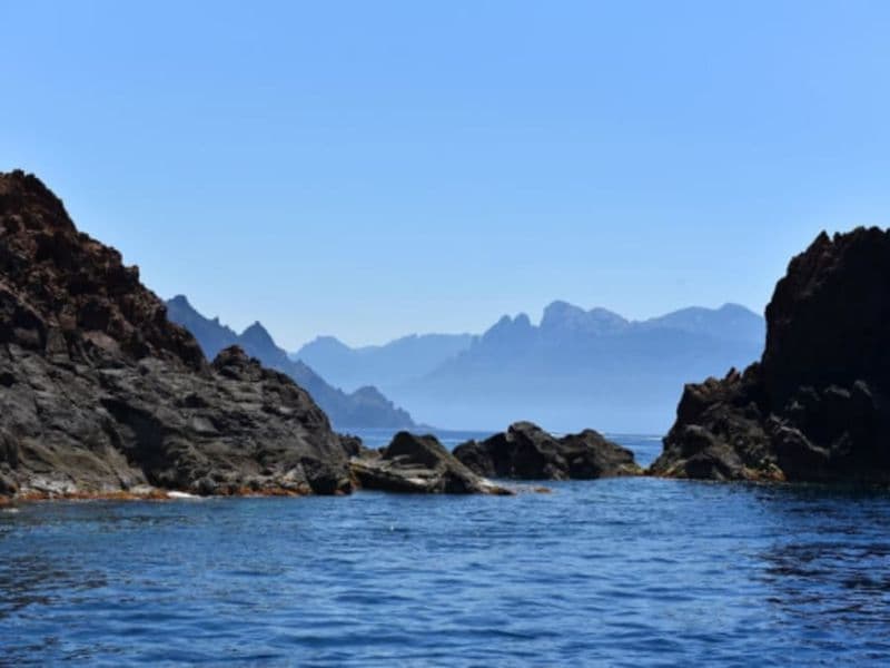 Billet Croisière en bateau semi rigide dans la Réserve de Scandola (20)