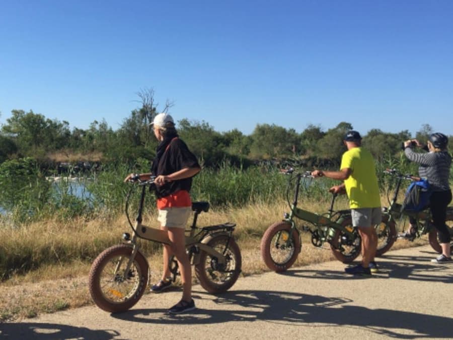 Billet Safari commenté à VTT électrique depuis Aigues-Mortes (30)