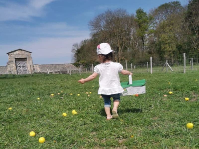 Billet Fête des oeufs à la Ferme de Gally de St-Cyr l'école 2025