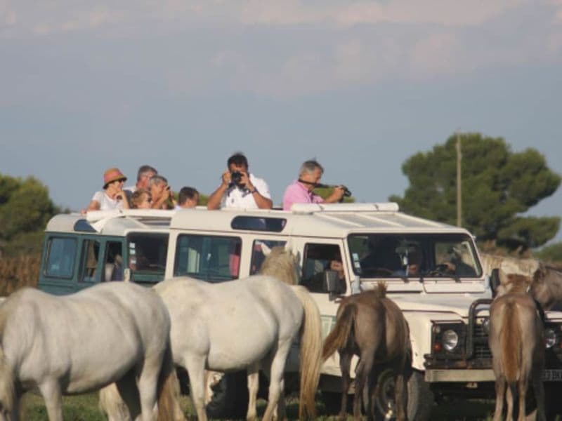 Billet Safari photo en 4x4 depuis Aigues-Mortes (30)