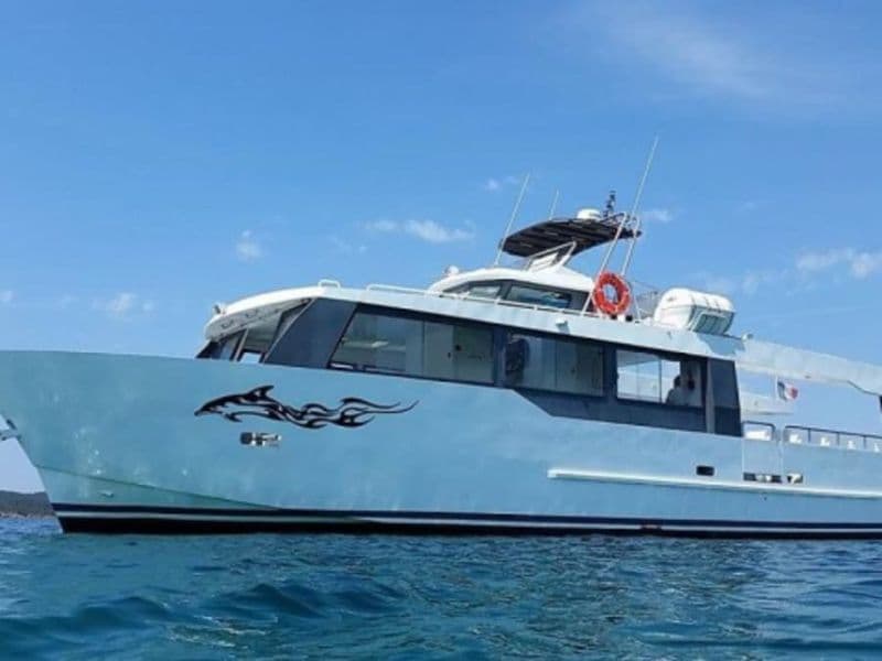 Billet Croisière à la rencontre des dauphins et cétacés à Monaco (98)