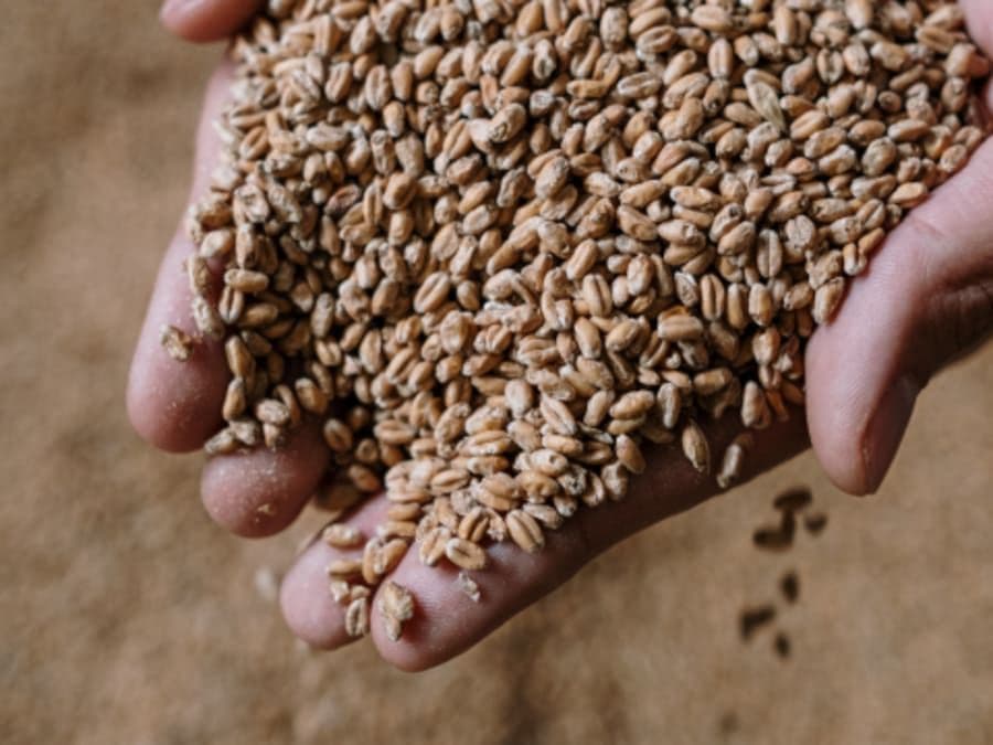 Billet Atelier brassage de bière à Aix-en-Provence (13)