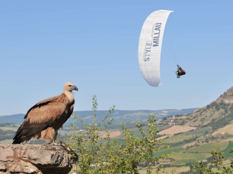 Billet Vol sensations en parapente à Millau (12)