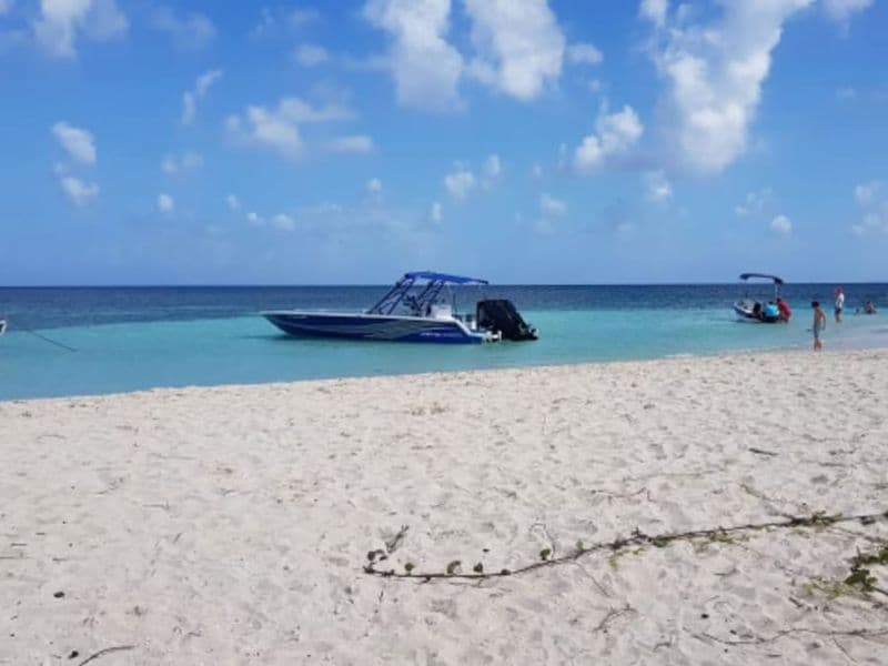 Billet Excursion à la demi journée à Petite Terre (971)