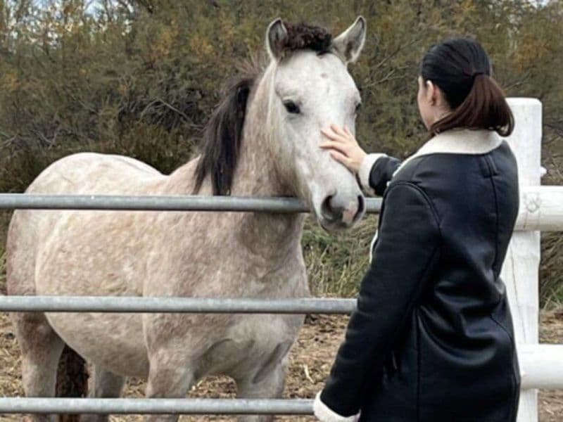 Billet Excursion camargues et dégustation de vins à Aigues-Mortes (30)
