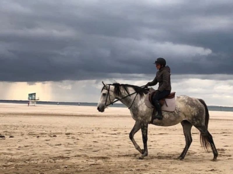 Billet Balade à cheval campagne et plage près de Deauville (14)