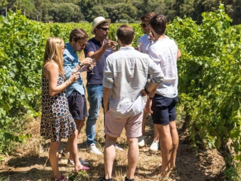 Billet Visite guidée découverte des vignobles au pays de Cézanne (13)