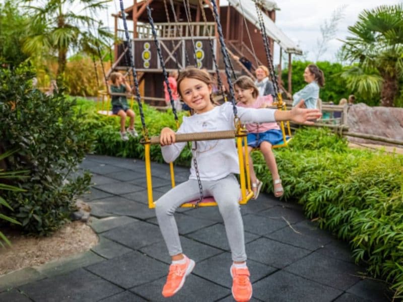 Billet Billet pour Jungle City à Tournai