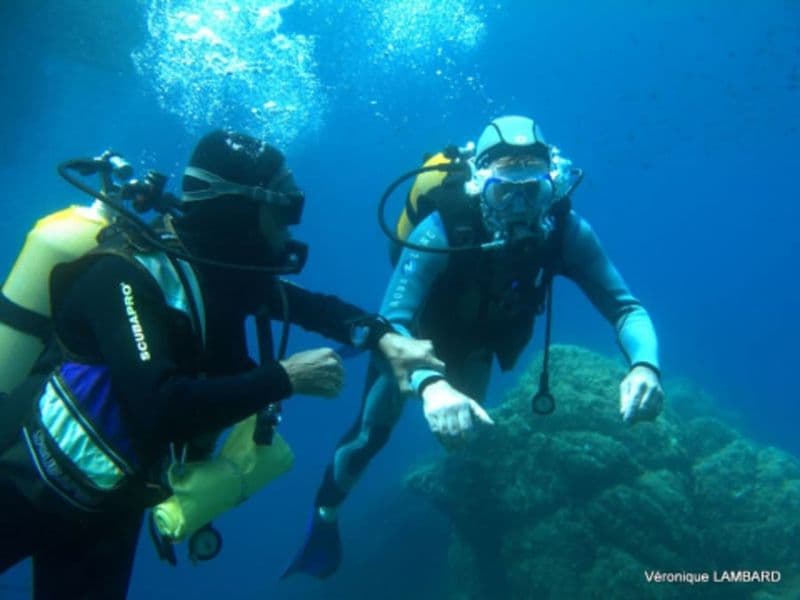 Billet Baptême de plongée à Bormes-les-Mimosas (83)