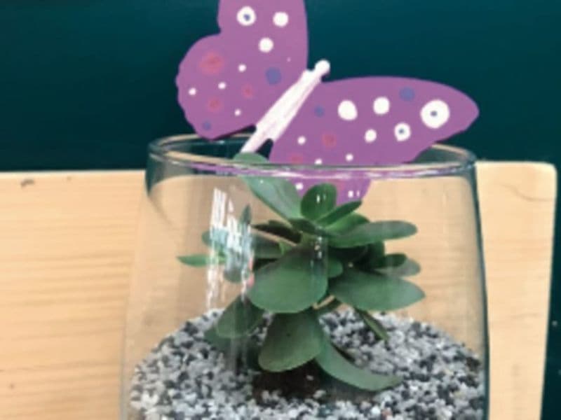 Billet Atelier enfant création bulle de plantes chez Truffaut Herblay