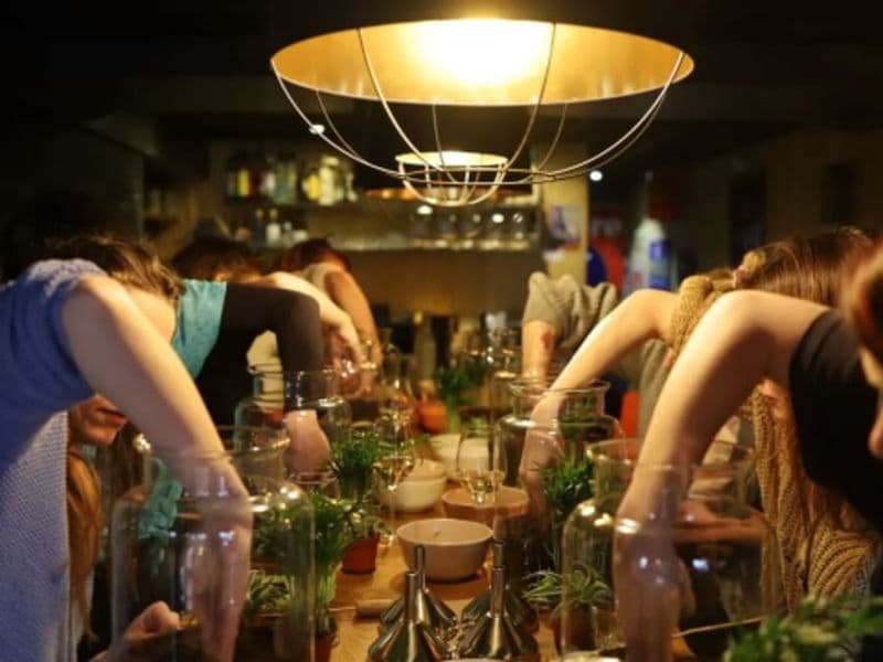 Billet Atelier Terrarium taille M à Strasbourg (67)