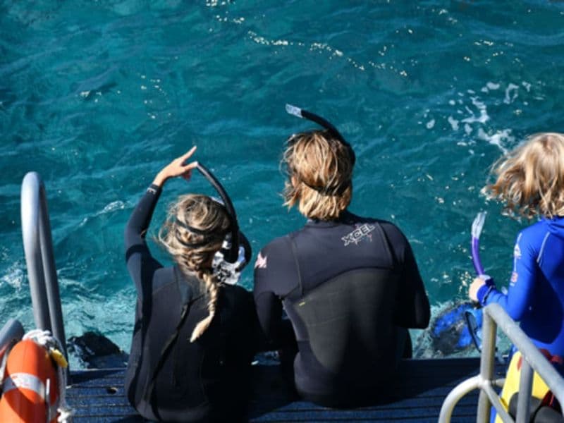 Billet Snorkeling en bateau à Argelès-sur-Mer (66)