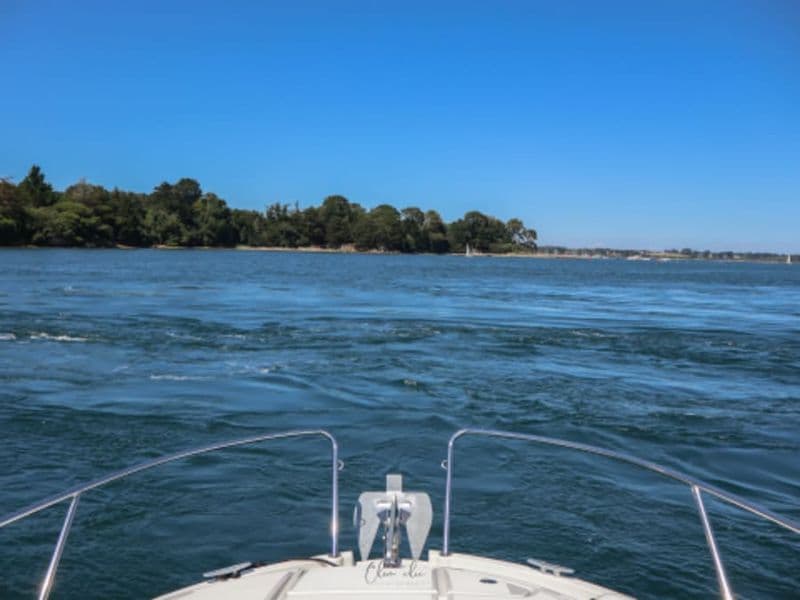 Billet Croisière privative en journée dans le golfe du Morbihan (56)