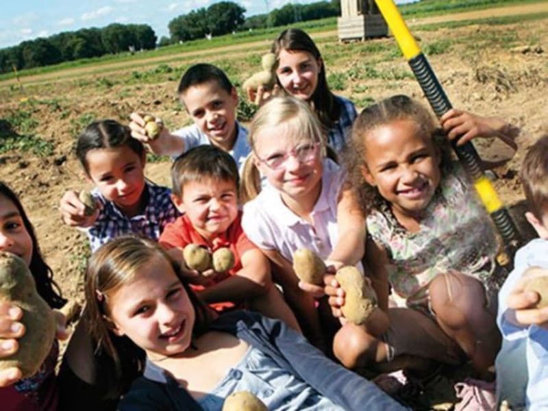 Billet Jeux sur les graines et semis d'été à Montardon (64)