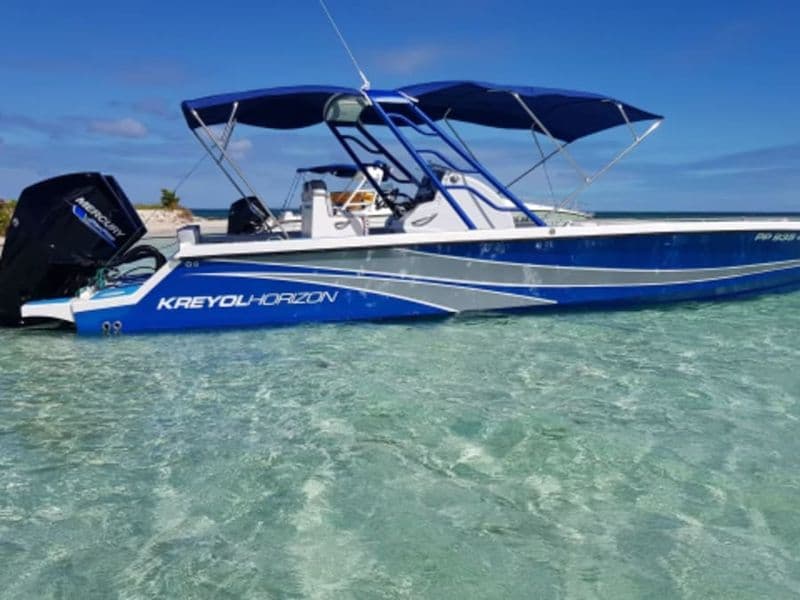 Billet Excursion à la journée à Petite Terre (971)