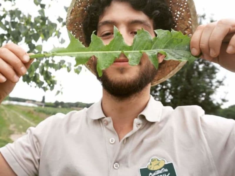 Billet Initiation aux plantes sauvages comestibles à Montardon (64)