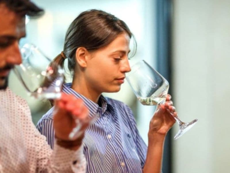 Billet Journée initiation & apprentissage des vins à Nîmes