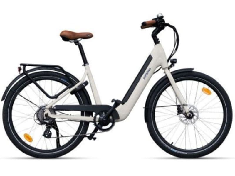 Billet Location VTT E-Bike/Shiftbike proche de Strasbourg (67)