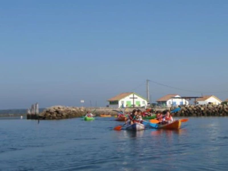 Billet Balade botanique en kayak aux Prés Salés du Bassin d'Arcachon