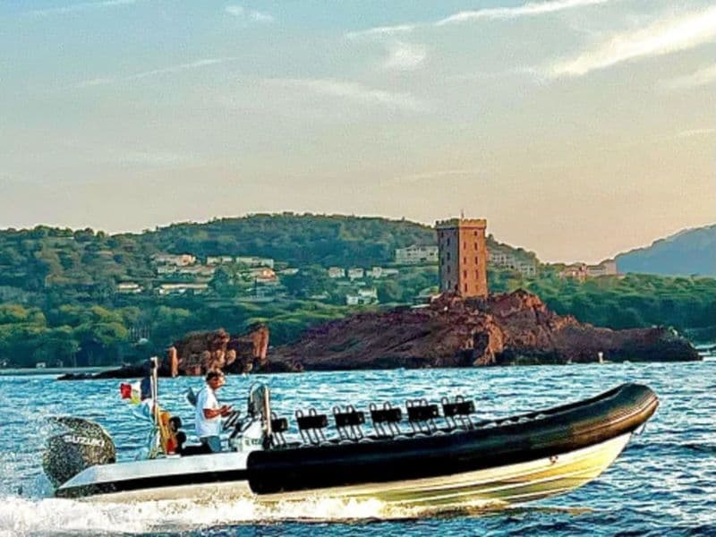 Billet Balade Dauphins et cétacés en semi-rigide depuis Saint-Raphaël