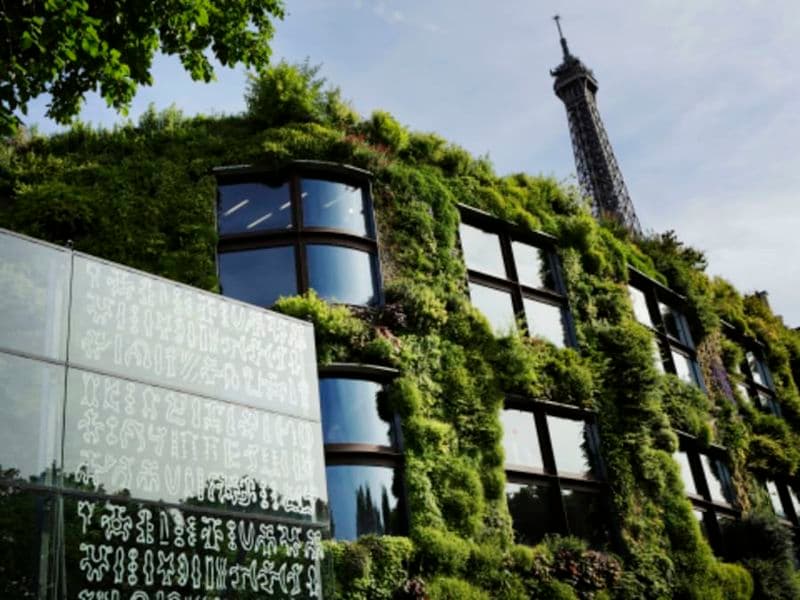 Billet Billet pour le Musée du quai Branly - Jacques Chirac à Paris 7è