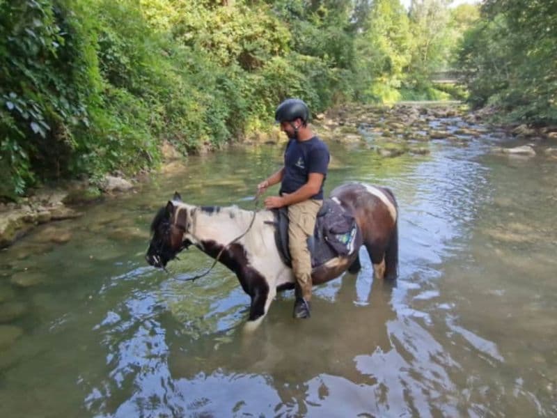 Billet Balade aventure 2h à cheval proche d'Annecy (74)