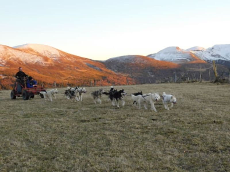 Billet Baptême Kart à chiens près de Sancy (63)