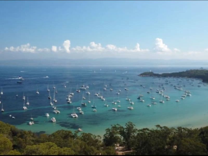 Billet Sortie en semi-rigide baleines et escale Porquerolles, de Bandol