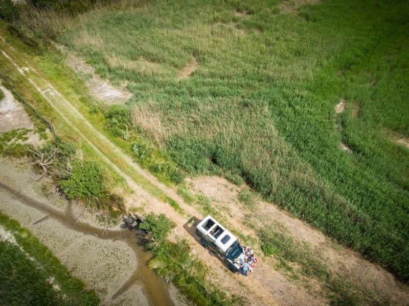 Billet Safari demi-journée en 4x4 au Grau-du-Roi (30)