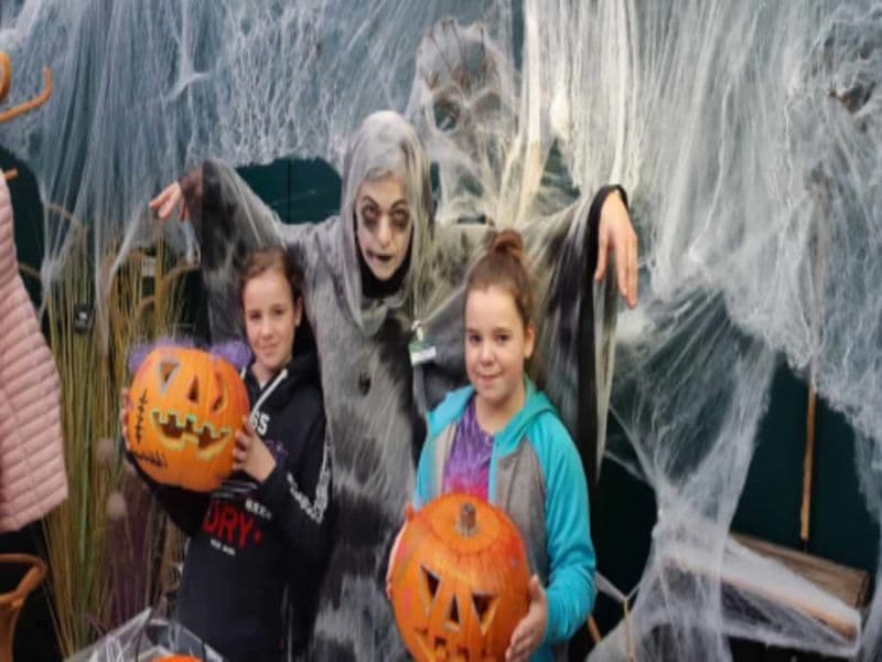 Billet Atelier enfant citrouille Halloween chez Truffaut Montélimar