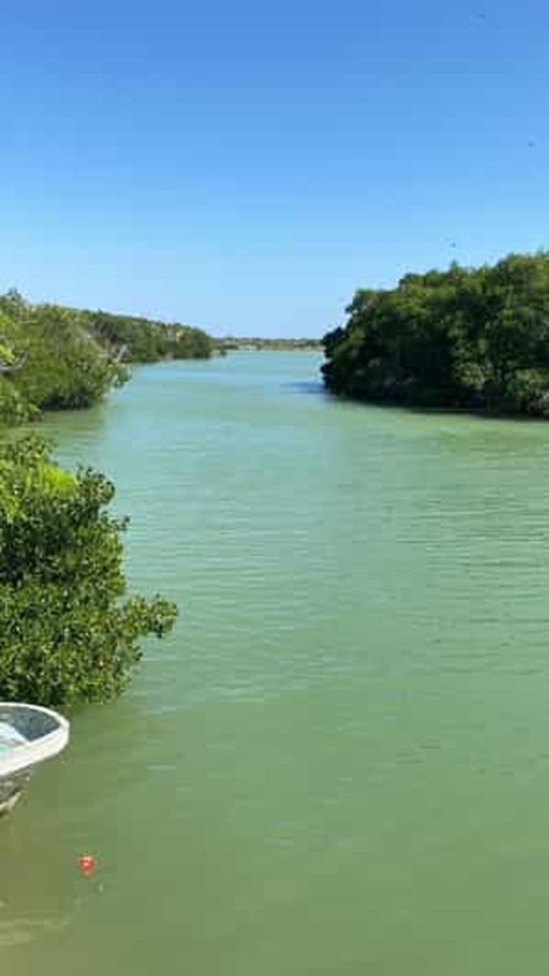 Billet Río Lagartos et Las Coloradas : une expérience naturelle