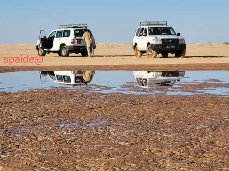 Billet De Tozeur : circuit de 2 jours dans le Sahara avec nuit sous tente et randonnée à dos de chameau