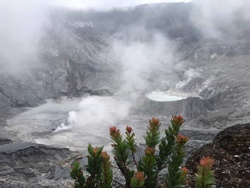 Billet Jakarta : Volcan, champs de thé et de riz, sources d'eau chaude, nourriture locale