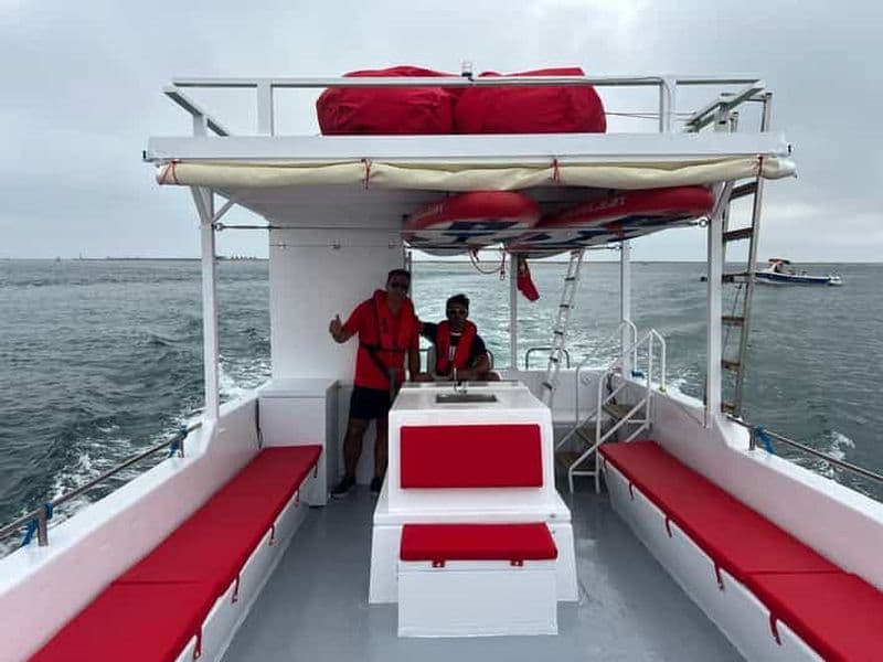 Billet Olhão : Observation des oiseaux