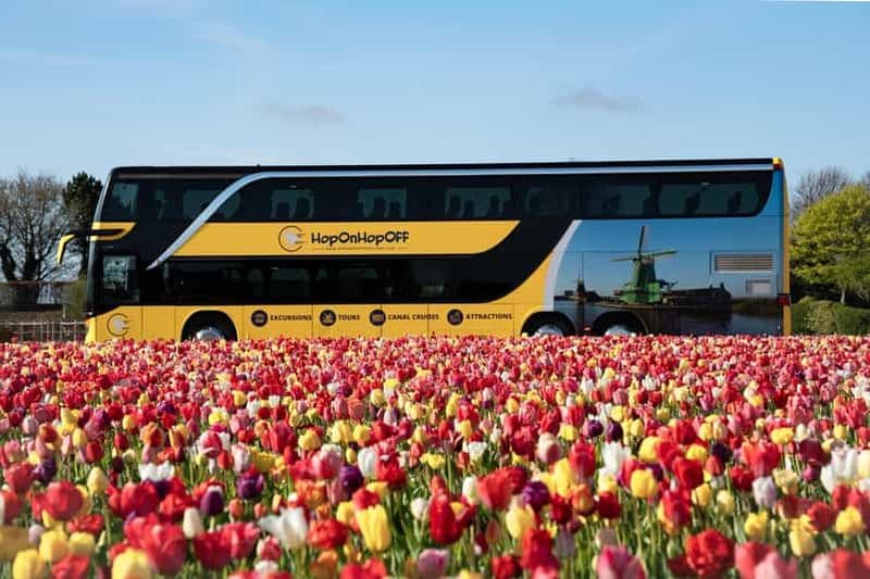 Billet Amsterdam : transfert en bus vers Keukenhof et champs de tulipes (bus uniquement)