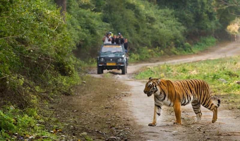 Billet Taj Mahal and Double Safari Adventure: Ranthambore & Sariska
